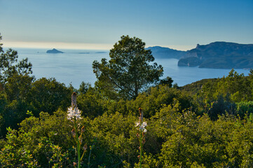 Blick von der SEmaphore du Bec d'Aigle bei la Ciotat