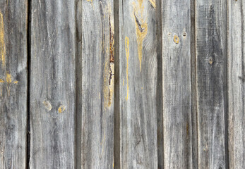 The image is of a wooden surface with a grainy texture