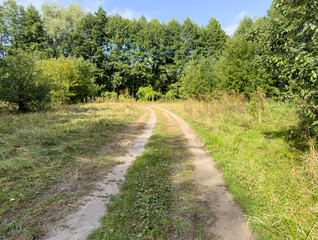 A dirt road in a forest with trees in the background