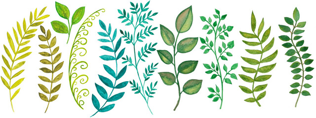 Hand drawn watercolor green branches. Spring watercolor.