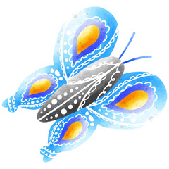 Blue Butterfly Watercolor Illustration
