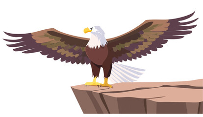 Obraz premium american bald eagle