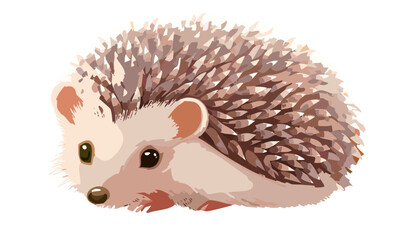 hedgehog on white background