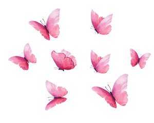 pink butterfly watercolor hand drawn
