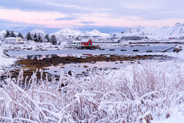 Lone rorbu cabin overlooking a frozen fjord