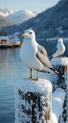 Serene Winter Seagull on Snow-Covered Post