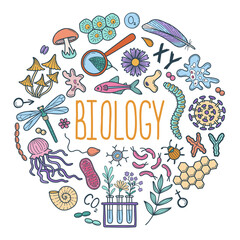 Set of hand drawn biology science doodle elements with lettering. Whimsical subjects vector illustrations on white background. Circle composition