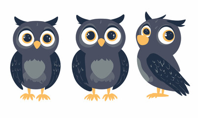 Fototapeta premium Cute Cartoon Owl in Multiple Angles for Kids' Minimalist Educational Materials Vector