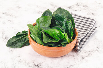 Ripe green spinach leaves heap