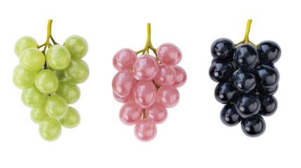 Fototapeta premium Realistic Vector Illustration of Colorful Grape Clusters with Leaves on white background 