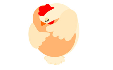 卵を抱く母親の鶏