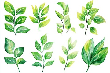 A captivating watercolor illustration presents an assortment of vibrant green tropical leaves, each delicately rendered with soft, translucent washes, evoking a sense of freshness and natural beauty