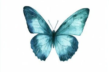 A delicate watercolor butterfly, wings spread wide, takes center stage against a pristine white backdrop Soft teal hues blend seamlessly, creating a calming and ethereal aesthetic The butterfly's