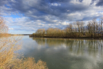 Fototapeta premium Ticino River landscape nature naturalistic sun water