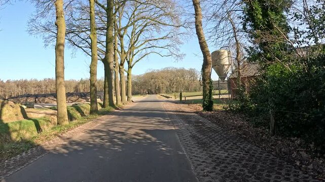Walking on a small road through typical Dutch farms.