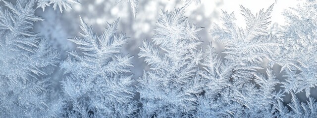 Frost patterns form intricate crystalline structures on glass surface during winter season