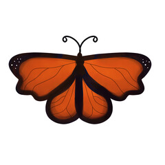 Mystical Butterfly in the Dark