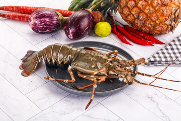 Raw wild fresh spiny lobster