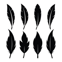 Feather icons of silhouette black shape vector illustration 