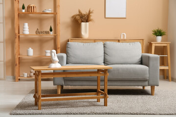 Grey cozy sofa with coffee table in living room