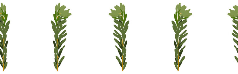 Leaves border on a white background. Hand-drawn illustration. Perfect for spring and summer.	