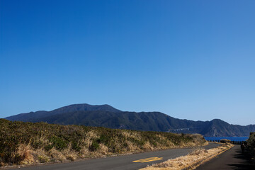 三原山がよく見える。
観光協会主催の、バスで島を巡り、ザトウクジラを捜すホエールウォッチングバスツアー。
東京都伊豆諸島八丈島-2025年
