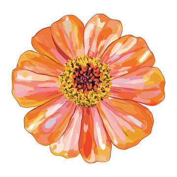 orange flower blossom isolated white clip art preview