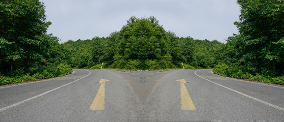 Two diverging roads with yellow arrows indicating different directions, surrounded by lush greenery.