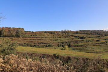 Blick auf die Naturlandschaft des Kaiserstuhls in Baden-Württemberg