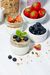 assorted creamy desserts with granola and fresh berries on a white background, closeup