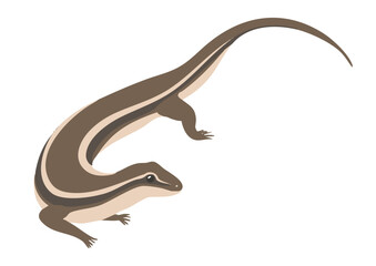 ニホントカゲのイラスト素材　ベクター