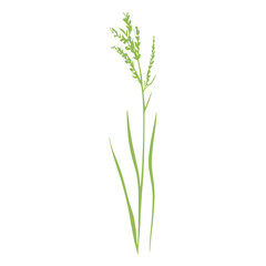 Naklejka premium Flat vector of green grass plant illustration art vector