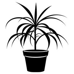 Potted plant with spider plant silhouette simple potted vector