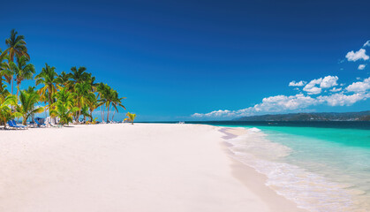 Exotic tropical beach and Palm trees on Bacardi Island Cayo Levantado Samana Bay, Dominican Republic, Caribbean Sea