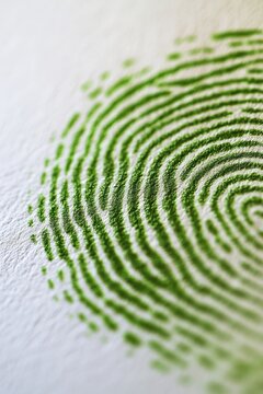 Green fingerprint pattern, eco-friendly concept, sustainability, identity, environmental awareness, Earth Day campaign, nature protection, personal responsibility.