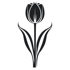 Tulip illustration flower black vector