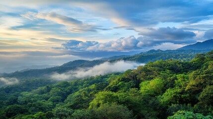 Fototapeta premium Lush green rainforest landscape at sunset, misty mountains, vibrant nature scene, outdoor adventure, eco-friendly tourism, Earth Day, sustainable living.
