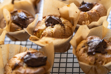 A tray of muffins with chocolate chips on top