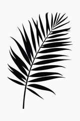 Minimalist black leaf silhouette vector
