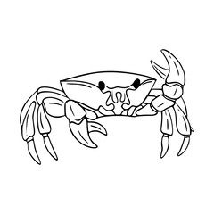 crab outline vector illustration
