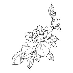 rose blossom outline drawing