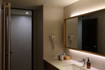 Modern bathroom with sleek design and soft lighting.