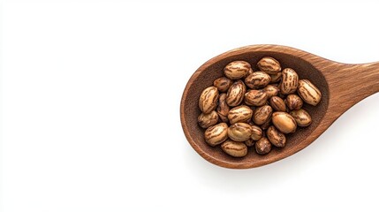 Fototapeta premium Wooden Spoon of Jojoba Seeds