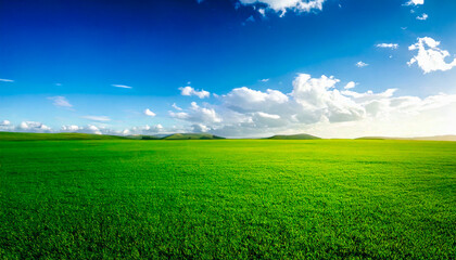 Obraz premium Realistic photography of flat green grass and sky.