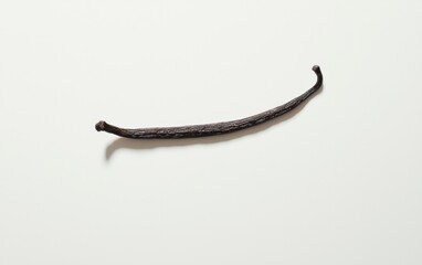Fototapeta premium Single Dried Vanilla Bean Pod on White Background