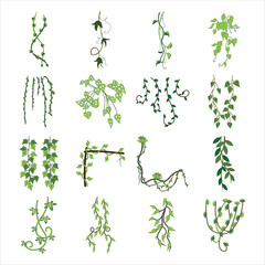 Vines Set