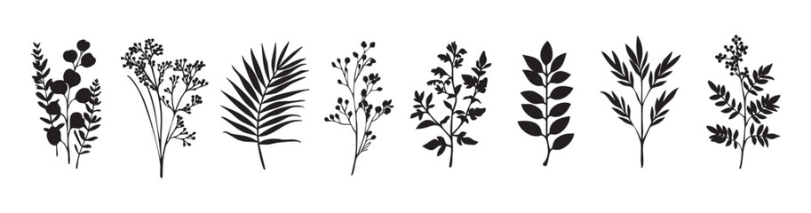 Obraz premium Botanical silhouettes art collection, isolated vector set