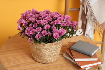 Wicker basket with chrysanthemum flowers and books on coffee table against yellow background