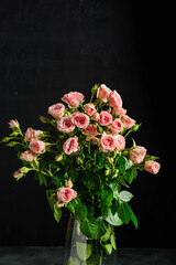 bush roses are pink with drops on a dark background