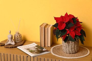 Christmas plant poinsettia with books and magazine on commode near yellow wall